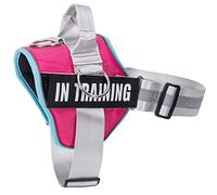 3 Ring No Pull Dog Harness, Reflective Adjustable Puppy Vest Harnesses with 3 Leash Clips, in Training Service Pet Harnes with 8Pcs Dog Patches, No-Choke Pet Oxford Vest with Easy Control Handle