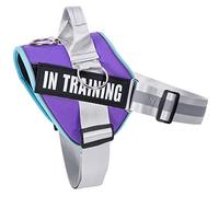 3 Ring No Pull Dog Harness, Reflective Adjustable Puppy Vest Harnesses with 3 Leash Clips, in Training Service Pet Harnes with 8Pcs Dog Patches, No-Choke Pet Oxford Vest with Easy Control Handle