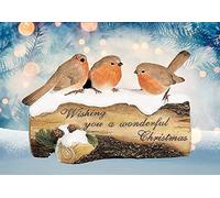 3 Robins On A Log
