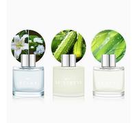 3 Set of Reed Diffusers, 5.07 oz Reed Diffusers with 12 Black Fiber Sticks, 150 ml Jasmine Lily Cucumber Bamboo Scent Diffuser for Home,Long Lasting up to 90 Days