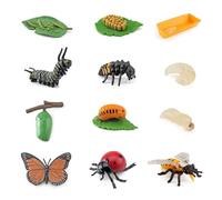 3 Sets Of 12 Pieces Insect Life Cycle Models, Ladybug Larvae, Bee Life Cycle, Insect Toys For Kids, Ladybugs For Kids, Insect Growth Model