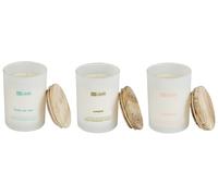 3 Soy Wax Scented Candles Leather / Wind of Sea / Amber SIMPLICITY