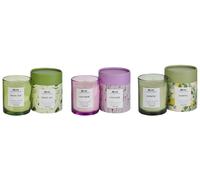 Beliani Set of 3 Scented Candles COLORFUL BARREL Soy Wax Fresh Notes Floral Notes, Green