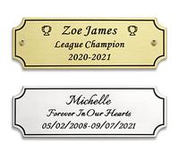 3"W x 1"H, Custom Elegant Engraved Plate, Personalized Memorial Name Plate for Trophy, Frames, Urn, Brass or Stainless Steel Laser Engraved Plaque with Adhesive Backing or Screws (Silver, Gold)