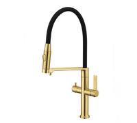 3 Way Kitchen Tap Pull Out Stainless Steel 2 Handles Kitchen Taps Flexible Swivel-Brushed Gold