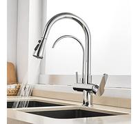 3 Way Kitchen Tap with Pull Out Hose High Arc Gooseneck Sink Mixer Dual Handles 360° Rotatable Chrome Water Filter Faucet for Modern Kitchens