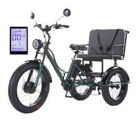 3-Wheel Electric Tricycle for Adults: Fat Tire with Passenger Seat, Removable Battery & LCD Display for Urban/Off-Road Use