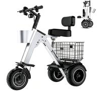 3 Wheel Folding Electric Tricycle for Adults, Lightweight Mobility Scooter with 450W Motor & 36V Removable Battery, Reverse Function GrayC,36V340W+10a
