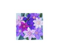 3 X Clematis Mixed Colours Large Large Flowering Climber Hardy Plant In Pot