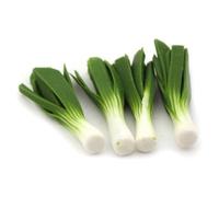 3 x MyTinyWorld Dolls House Miniature Handmade English Leeks