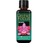 3 X Orchid Focus Bloom 300ml
