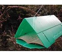 3 X Pheromone Plum Fruit Moth Trap