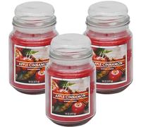 3 x True Living Apple Cinnamon Scented Glass Jar Candle - Large Jar Candle 510g 18oz