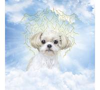 30,000 Monkies - Honesty Integrity Friendship Passion