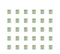 30-10pcs Set Blind Box Fridge Magnets Blind Bag Animal Ocean Aquarium Zoo Cartoon Refrigerator Sticker Creativity Gifts(Zoo 30pcs)