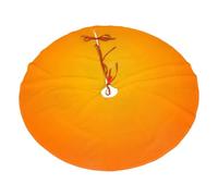 30" Christmas Tree Skirt â€“ The beauty of pure color Print Holiday Party Mat for Xmas Home Decor, Outdoor Indoor Festive Ornaments