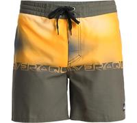 (30, Grape Leaf Holmes) Quiksilver Mens Everyday 16" Swim Shorts