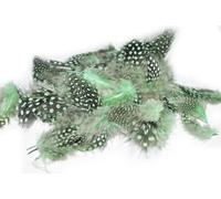 30 Light Green Colour Guinea Fowl Natural Dyed Nail Art Feathers Manicure Fishing Craft Jewellery
