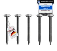 30 Nails with 25 mm Length - Steel Nails for Concrete, Brick, Plaster & Wood - Hardened Steel for Picture Hanging - Made in Europe (Silver Head, 25 mm)