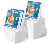 30 Pack Mini Painting Canvas 2x2inch Small Stretched Canvas for Painting, Mini Canvases Bulk Professional Art Supplies for Adults Students Artists Beginners