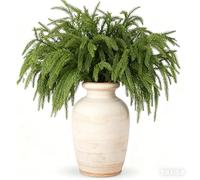 30 Pcs Christmas Norfolk Pine Branches, 14Inch Christmas Real Touch Norfolk Stem Artificial Needle Branche Artificial Greenery Pine Needle Branches for Xmas Garland Wreath DIY Crafts Home Decor