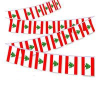 30 PCS Lebanon Flag String,32 FT Lebanese Bunting,Decoration Banner for Outdoor Indoor Patio Yard Decor