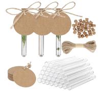 30 Pcs Test Tubes with Corks, Plastic Test Tubes with Labels, 12 x 100mm Clear Plastic Vials for Plants, Reusable Plastic Test Tubes, Test Bottle with Lids for Candy, DIY Craft, Favours Decors