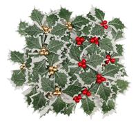 30 Pieces Artificial Holly Berries, Fake Berries with Green Leaves, Artificial Berry Flowers Decorations Christmas Crafts, Faux Golden Red Holly Berries Stems for Party Wreath Centerpiece