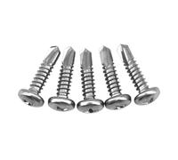 (30 Pieces) M6.3x19mm Pan Head Self Drilling Screws Phillips Drive Machine Bolt 304 Stainless Steel Self Tapping Slotted Bolts