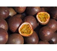 30 Seeds of Passion Fruit Edible Climbing Perennial