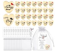 30 Set Funeral Favours Cardinal Pocket Hug Token Sympathy Memorial Celebration of Life Bereavement Remembrance Gifts for Loss of Mum Dad Grief Loved One with Funeral Prayer Cards (Double-Sided)
