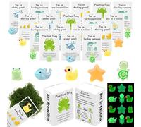 30 Sets Employee Appreciation Gifts Inspirational Luminous Resin Animals Boxes Affirmation Cheer up Card Emotional Support Thank You Gifts Positive Gifts for Coworker Teacher Nurse Team Volunteer