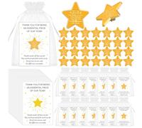 30 Sets Thank You Gifts Employee Recognition Star Lapel Pins