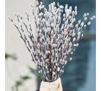 30 Stems Real Dried PussyWillow Preserved Greenery Branches for Vase- Natural PussyWillows with White Flowers, Snow Willow Branches for Wedding Home Party Hotel Fireplace Yard Decor