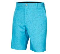 (30" Waist, Aquarius) Calvin Klein Mens Printed Bullet Stretch Lightweight Wicking Golf Shorts