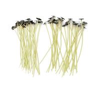 30 x 120mm Long Pre Waxed Wicks For Candle Making with sustainers
