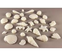 30 x Edible 3D seashells shells shell icing toppers, cake cupcakes decorations T007 (Ivory)