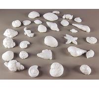 30 x Edible 3D seashells shells shells icing toppers, cake cupcakes decorations T007 (Pearl White)