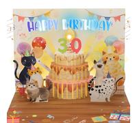 30 Years Old Musical Birthday Card for Kids, Funny Cat Pop Up Birthday Card with Lights & Music, 3D Cake Music Greeting Card, Birthday Gift for 30 Years Old Man, Woman, Wife, Husband