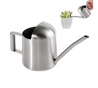 300 ml Watering Can, Mini Watering Can for Children, Stainless Steel, Small Watering Can with Long Spout, Simple Style, Bonsai Watering Can, Plant Watering Can for Plants, Indoor and Outdoor Use,