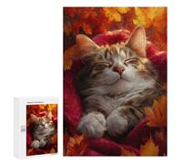 300 PCS Adult Pieces Jigsaw Puzzle Autumn Cat Nap Blanket-1 Jigsaw Puzzles for Teenagers Hand Speed Race Difficult And Challenge Christmas Birthday Gifts 300 PCS