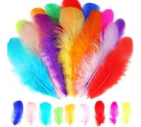 300 PCS Coloured Feathers, Easter Feathers for Crafting,Craft Feathers,Natural Goose Feathers for DIY Dream Catcher Carnival Decorations/Hat/Vase/Mask, Fluffy & Soft, Small & Large(Color Random)