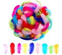 300 Pcs Craft Feathers, Soft and Vibrant Colorful Feathers Goose, Feather for Crafts for DIY Dream Catchers, Crafting, Easter and Wedding Home Party Decorations (8-11 cm/3.15-4.33 in, Small & Large)