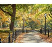 300 pcs Fun Jigsaw Puzzle for Adults and Family Central Park Fall Unique Difficult and Challenge Puzzle Home Wall Decor