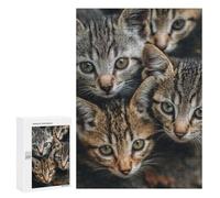 300 PCS Jigsaw Puzzles Adorable Tabby Kittens -1 Adult Jigsaw Puzzles Enhance Memory Educational Challenge Toys Educational Games 300 PCS