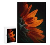 300 PCS Jigsaw Puzzles for Adults Sunflower Profile Jigsaw for Adults Relax Games Hand Speed Race for Is Ideal As A Gift 300 PCS