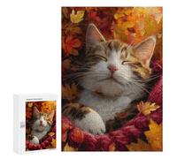 300 PCS Jigsaw Puzzles for Teenagers Autumn Kitten Blanket Adult Jigsaw Puzzles Pattern Assembly Help The Brain Exercise Challenging Game Toys 300 PCS