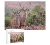 300 PCS Jigsaw Puzzles Two Red Deer in A Field Jigsaw for Adults Fun Games Perfect Decoration Unique Gifts for Birthday And Christmas 300 PCS