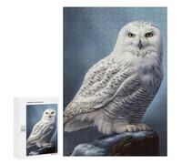 300 PCS Jigsaws Adults Puzzles Arctic Snowy Owl Jigsaws for Adults Toy Wall Decor Home Decoration for Is Ideal As A Gift 300 PCS