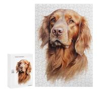 300 PCS Jigsaws Adults Puzzles Irish Setter Portrait Dog Jigsaw for Adults Relax Games Birthday Present Birthday And Unique Gifts 300 PCS